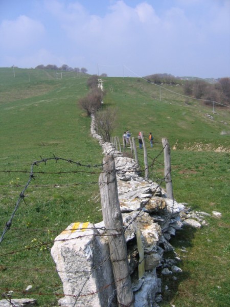 Palazzon_Campese_Campolongo_06.jpg