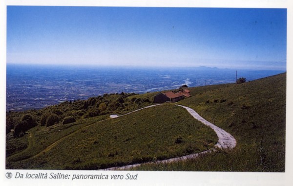 Trinceroni_Campolongo_01.jpg