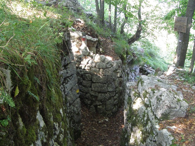 trinceroni.jpg